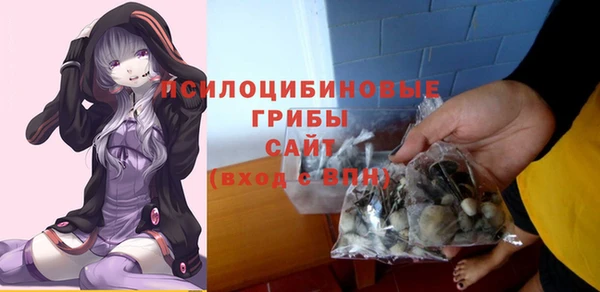 ECSTASY Алзамай