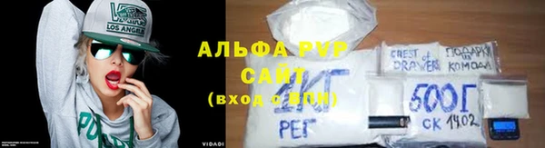 ECSTASY Алзамай