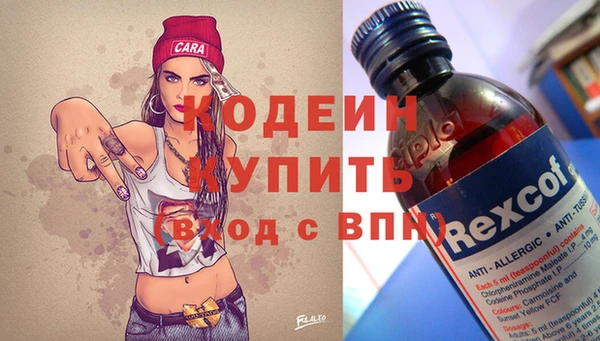 ECSTASY Алзамай