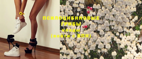 герыч Алексин