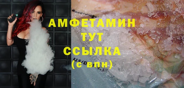 ECSTASY Алзамай