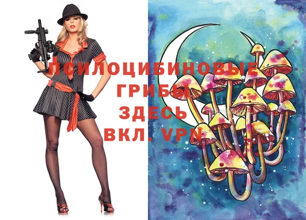 ECSTASY Алзамай
