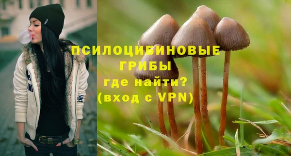 герыч Алексин